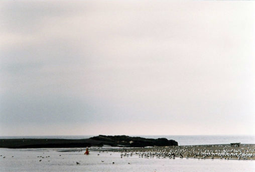 Meer